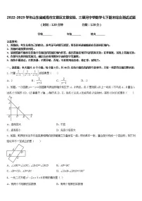2022-2023学年山东省威海市文登区文登实验、三里河中学数学七下期末综合测试试题含答案