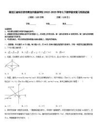 黑龙江省哈尔滨市美加外国语学校2022-2023学年七下数学期末复习检测试题含答案