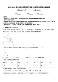 2022-2023学年山东省五莲县联考数学七年级第二学期期末监测试题含答案