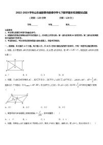 2022-2023学年山东省新泰市新甫中学七下数学期末检测模拟试题含答案