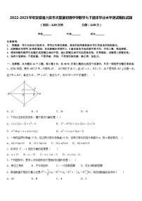 2022-2023学年安徽省六安市天堂寨初级中学数学七下期末学业水平测试模拟试题含答案