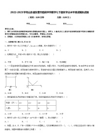 2022-2023学年山东省东营市胜利中学数学七下期末学业水平测试模拟试题含答案