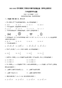 海南省省直辖县级行政单位琼海市2022-2023学年八年级下学期期末数学试题（含答案）