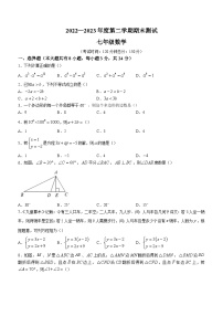 江苏省扬州市仪征市2022-2023学年七年级下学期期末数学试题（含答案）