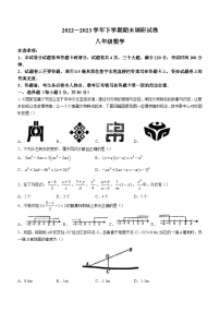 河南省平顶山市鲁山县2022-2023学年八年级下学期期末数学试题（含答案）