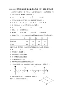 2022-2023学年甘肃省陇南市康县八年级（下）期末数学试卷（含解析）