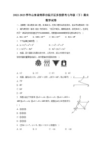 2022-2023学年山东省菏泽市经开区多校联考七年级（下）期末数学试卷（含解析）