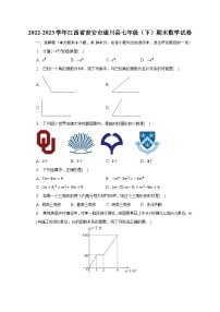 2022-2023学年江西省吉安市遂川县七年级（下）期末数学试卷（含解析）