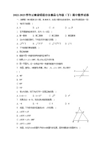 2022-2023学年云南省昭通市永善县七年级（下）期中数学试卷（含解析）