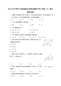 2022-2023学年广东省珠海市香洲区紫荆中学八年级（下）期中数学试卷（含解析）