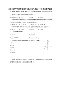 2022-2023学年河南省洛阳市偃师市八年级（下）期末数学试卷（含解析）