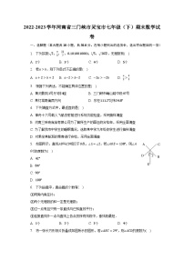 2022-2023学年河南省三门峡市灵宝市七年级（下）期末数学试卷（含解析）