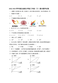 2022-2023学年湖北省部分学校八年级（下）期末数学试卷（含解析）