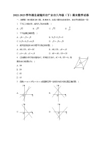 2022-2023学年湖北省随州市广水市八年级（下）期末数学试卷（含解析）