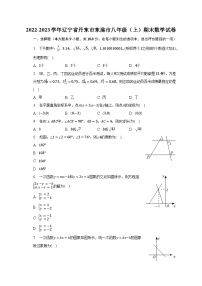 2022-2023学年辽宁省丹东市东港市八年级（上）期末数学试卷（含解析）