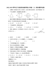 2022-2023学年辽宁省沈阳实验学校七年级（上）期末数学试卷（含解析）