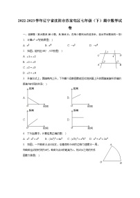 2022-2023学年辽宁省沈阳市苏家屯区七年级（下）期中数学试卷（含解析）