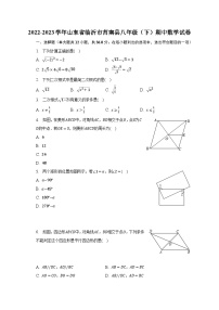 2022-2023学年山东省临沂市莒南县八年级（下）期中数学试卷（含解析）