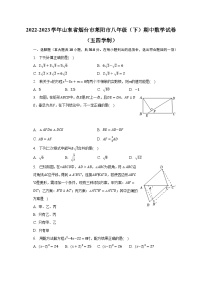 2022-2023学年山东省烟台市莱阳市八年级（下）期中数学试卷（五四学制）（含解析）