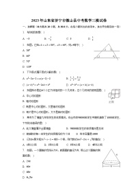 2023年山东省济宁市微山县中考数学三模试卷（含解析）