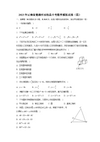 2023年云南省楚雄州双柏县中考数学模拟试卷（四）（含解析）