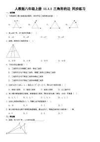 数学八年级上册11.1.1 三角形的边精练