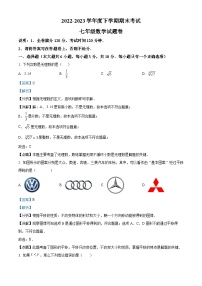 江西省赣州市大余县2022-2023七年级下学期期末数学试题（解析版）