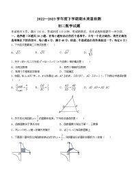 山东省淄博市临淄区2022-2023学年八年级下学期期末数学试题