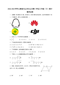 云南省文山州文山市第二学区2022-2023学年八年级下学期期中数学试卷