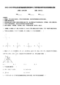 2022-2023学年山东省济南高新区四校联考七下数学期末教学质量检测模拟试题含答案