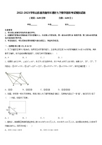 2022-2023学年山东省济南市长清区七下数学期末考试模拟试题含答案