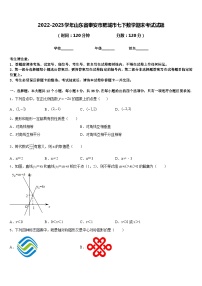 2022-2023学年山东省泰安市肥城市七下数学期末考试试题含答案