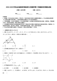 2022-2023学年山东省滨州市惠民县七年级数学第二学期期末统考模拟试题含答案