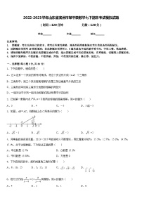 2022-2023学年山东省滨州市邹平县数学七下期末考试模拟试题含答案