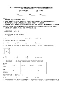 2022-2023学年山东省莱芜市名校数学七下期末达标检测模拟试题含答案