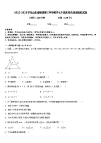 2022-2023学年山东省聊城第三中学数学七下期末综合测试模拟试题含答案