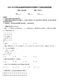 2022-2023学年山东省潍坊市寿光世纪学校数学七下期末达标测试试题含答案