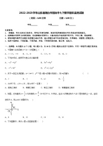 2022-2023学年山东省烟台市招远市七下数学期末监测试题含答案