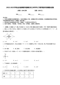 2022-2023学年山东省淄博市临淄区召口乡中学七下数学期末检测模拟试题含答案