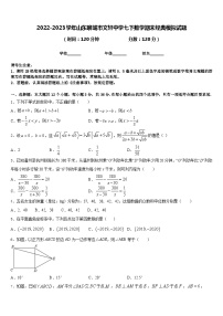 2022-2023学年山东聊城市文轩中学七下数学期末经典模拟试题含答案