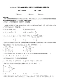 2022-2023学年山东聊城市文轩中学七下数学期末经典模拟试题含答案