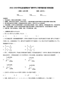 2022-2023学年山东省青岛市广雅中学七下数学期末复习检测试题含答案