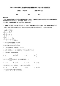 2022-2023学年山东省青岛市胶州市数学七下期末复习检测试题含答案