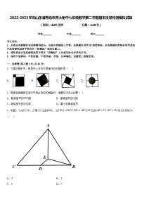 2022-2023学年山东省青岛市青大附中七年级数学第二学期期末质量检测模拟试题含答案