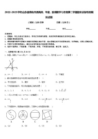 2022-2023学年山东省青岛市西海岸、平度、胶州数学七年级第二学期期末达标检测模拟试题含答案