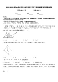 2022-2023学年山东省青州市吴井初级中学七下数学期末复习检测模拟试题含答案