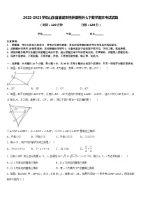 2022-2023学年山东省诸城市桃林镇桃林七下数学期末考试试题含答案