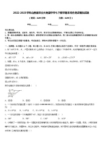 2022-2023学年山西省农业大附属中学七下数学期末综合测试模拟试题含答案