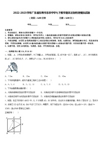 2022-2023学年广东省东莞市东华中学七下数学期末达标检测模拟试题含答案