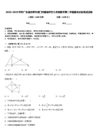 2022-2023学年广东省东莞市虎门外国语学校七年级数学第二学期期末达标测试试题含答案